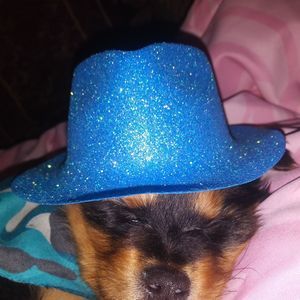 Meet your Posher, Cece